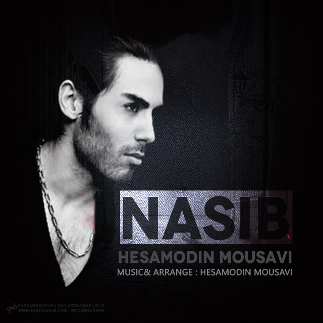 Hesamodin Mousavi Nasib 